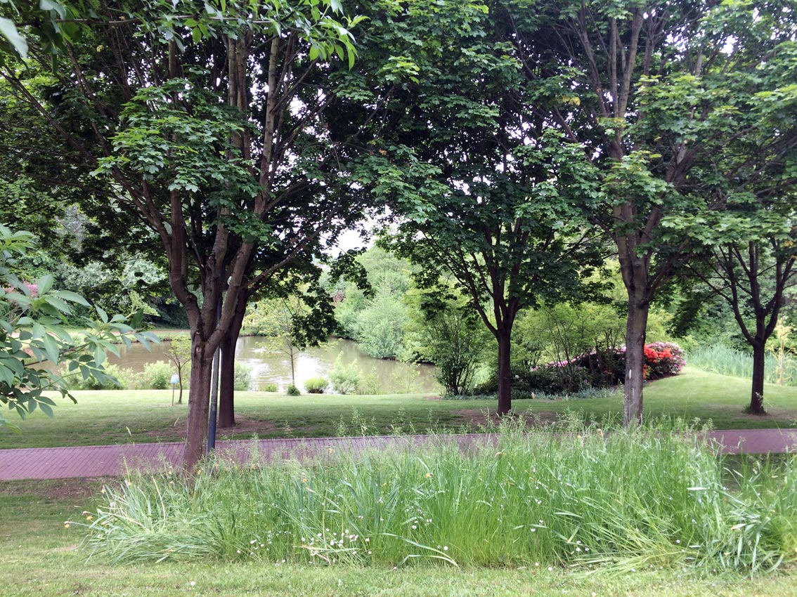 Kurpark Bad Zwesten. Foto: A.-A. Schlüter/CJD Oberurff