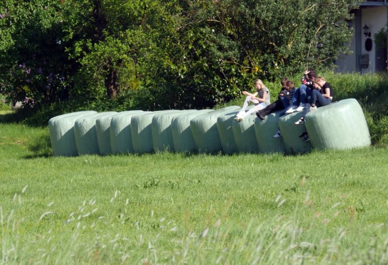 In der Natur | Foto: A. Bubrowski/CJD Oberurff