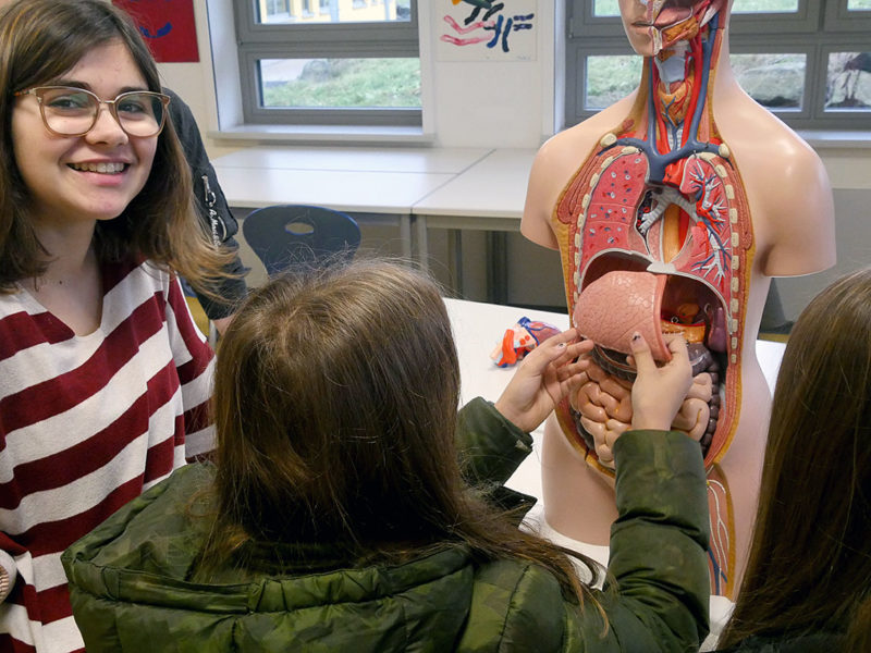 Biologie: Was gehört wo hin(ein) | Foto: BUB/CJD Oberurff