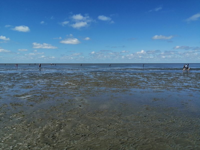 Das Wattenmeer bei Cuxhaven