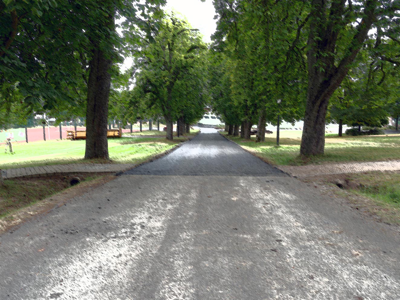 Allee mit neuem Straßenbelagn | Foto: A. Bubrowski/CJD Oberurff